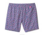 Apparel Blue Flamingo XB6RX488 Johnston & Murphy Men Swim Shorts - Image 2