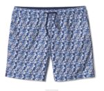 Apparel Blue Mouth Shark XB6RX548 Johnston & Murphy Men Swim Shorts - Image 3