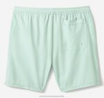 Apparel Mint Solid XB6RX625 Johnston & Murphy Men Swim Shorts - Image 4