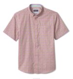 Apparel Pink Margarita XB6RX481 Johnston & Murphy Men Printed Cotton Short-Sleeve Shirt - Image 3