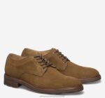 Shoes Snuff English Suede XB6RX321 Johnston & Murphy Men Welch Plain Toe